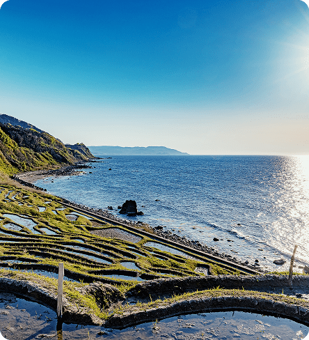 メインイメージ