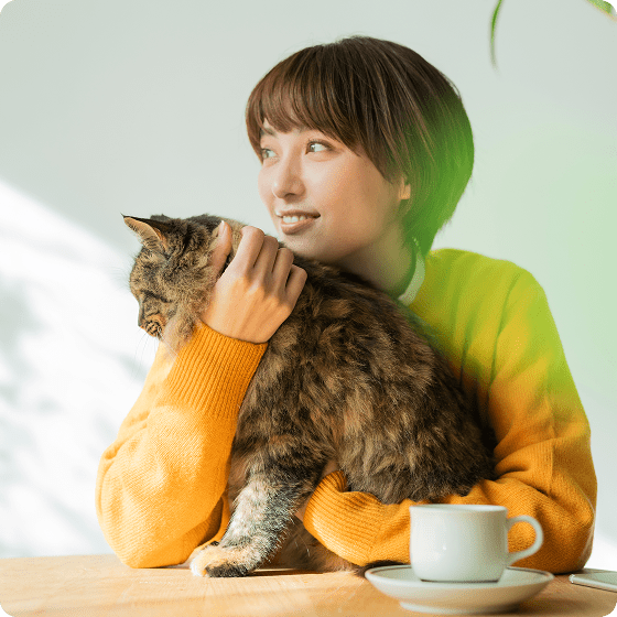 メインイメージ